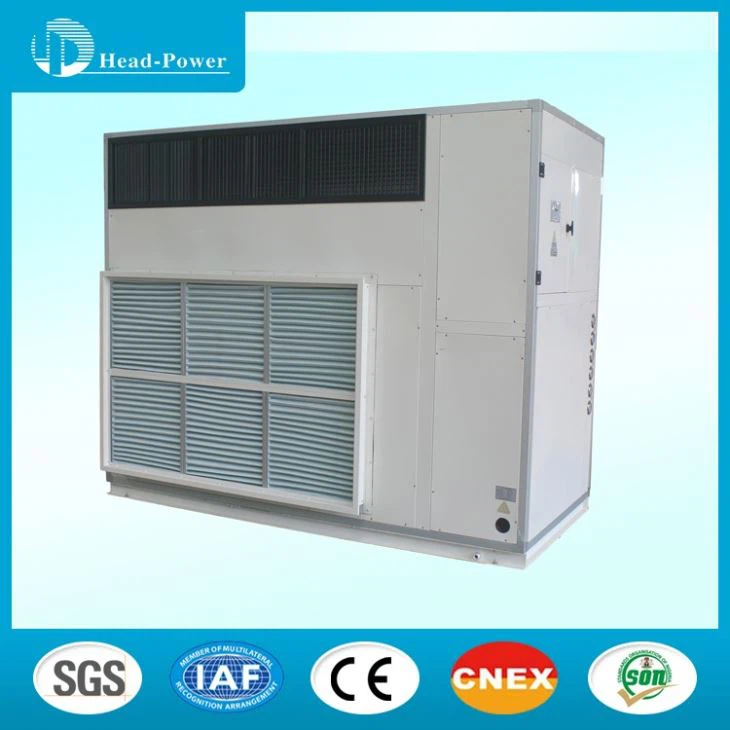 OEM/ODM 10liter/hour Refrigeration Dehumidifier